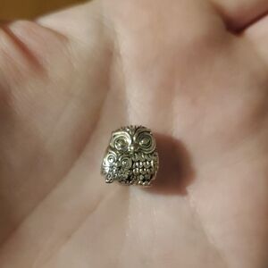 Silver Mama And Baby Owl Charm